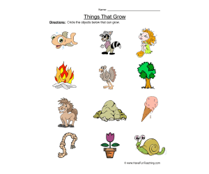 Identifying Things That Grow Worksheet
