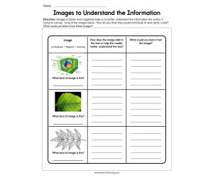 Images to Understand the Information Worksheet