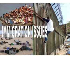 Immigration Issues Notes and Outline