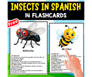 INFORMATION ABOUT INSECTS | IN SPANISH | 14 FLASHCARDS