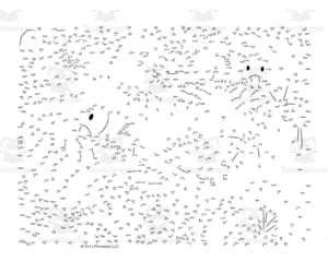 Insect Dot-to-Dot / Connect the Dots: Grasshopper