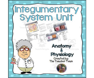 Integumentary System Unit
