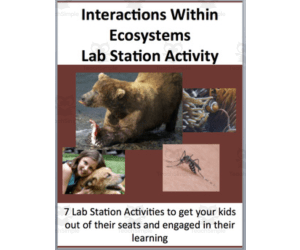 Interactions within ecosystems – Lab Station Activity