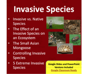 Invasive Species Lesson - Google Slides and Distance Learning Ready