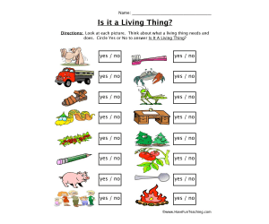 Is it a Living Thing Worksheet
