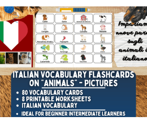 Italian Picture Vocabulary Flashcards - Animals
