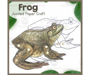 Jointed Frog Paper Craft