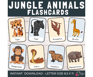 Jungle Animals Flashcards | Wildlife and Nature Vocabulary For Kids