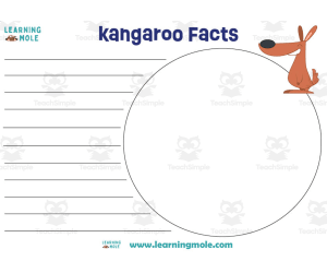 Kangaroo Facts Activity