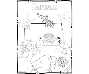 Kansas State Symbols Clip Art