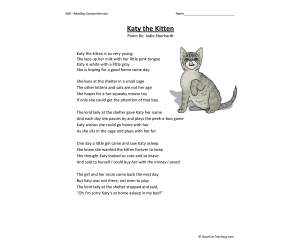Katy the Kitten Reading Comprehension Worksheet