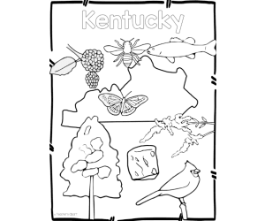 Kentucky State Symbols Clip Art