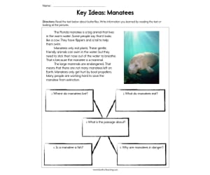 Key Ideas Manatees Worksheet