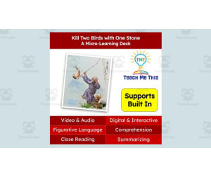 Kill Two Birds with One Stone | Figurative Language Activity | Micro-Learning Deck