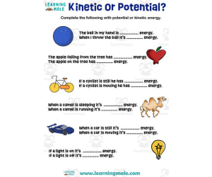 Kinetic or Potential Energy Activity