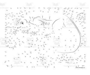 Komodo Dragon Dot-to-Dot