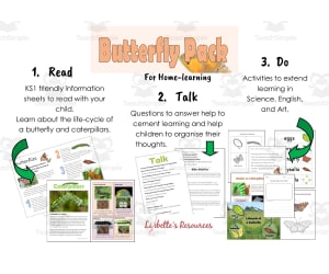 KS1 Science: Butterfly Lifecycle Activity Pack (Home-learning)