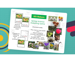 KS1 science - spring game