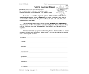 L.5.4 Common Core Worksheet