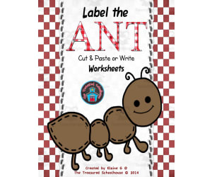 Label the Ant Worksheets