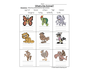 Labeling Animal Names Worksheet