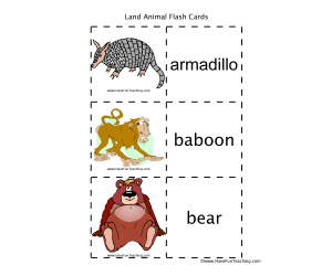 Land Animal Flash Cards