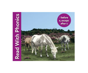 Learn Spelling Rule i before e, except after c - Read 'A Day Out At The Forest'