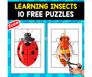 LEARNING ABOUT INSECTS | 10 FREE PUZZLES
