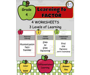 Learning to Factor-Apple Theme