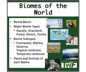 Lesson on Biomes of the Earth