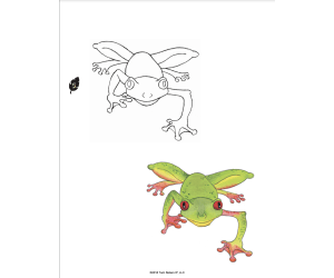 Let's Draw Animals In the Wild Activity Book