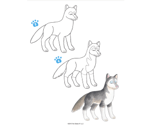 Let's Draw Dogs Activity Book