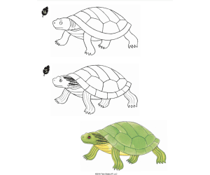 Let's Draw Zoo Animals Activity Book