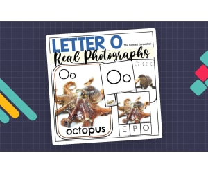 Letter O Phonics and Writing Centers with Real Photographs