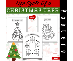 Life Cycle of a Christmas Tree Coloring Posters Christmas Science Acti
