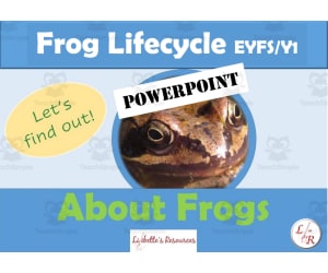 Life cycle of a Frog PowerPoint KS1