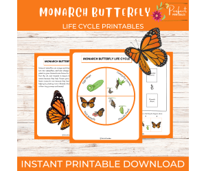 Life Cycle of a Monarch Butterfly - Insect/Moth Science Unit Study