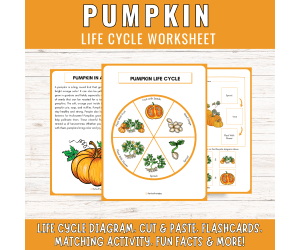 Life Cycle of a Pumpkin cut and paste diagram matching activities