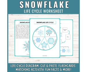 Life Cycle of a Snowflake Worksheet: Winter Science Center Activities