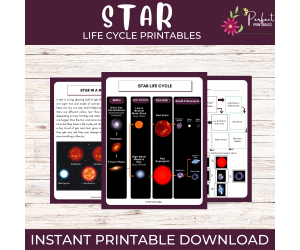 Life Cycle of a Star Worksheet - Science Unit Study With Fun Facts!
