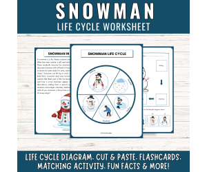 Life Cycle of a Winter Snowman: Winter Science Center Activities & Fun