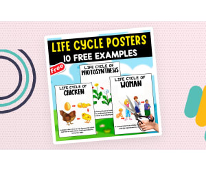 LIFE CYCLE POSTERS | 10 EXAMPLES