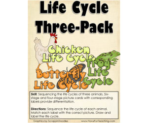 Life Cycle Three Pack Science Life Cycles Activity
