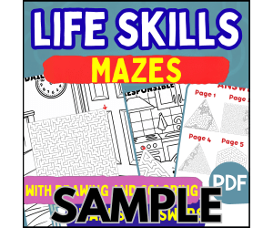 Life Skills Maze: 1 Page Sample (PDF)