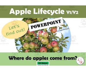 Lifecycle of an Apple PowerPoint: Seasons