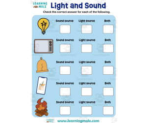Light and Sound Activity