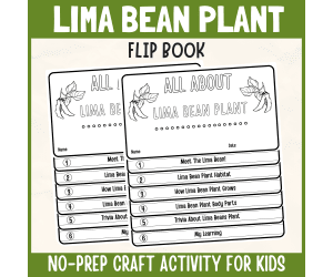 Lima Bean Flipbook Botany DIY Craft Plant Science Study Writing Prompt