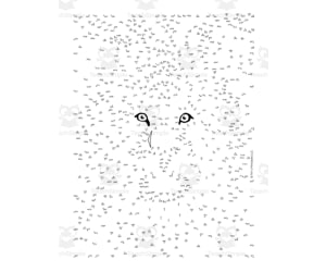 Lion Connect the Dots PDF