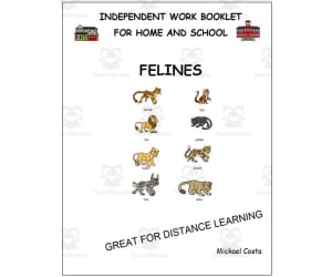 Literacy worksheets: Felines