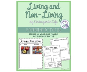 Living and Non-Living Things | Cross-Curricular Activities